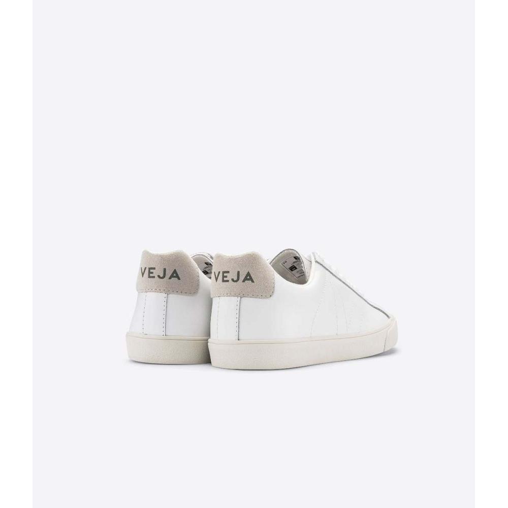 Veja ESPLAR LEATHER Men's Sneakers White | CA 308JPQ